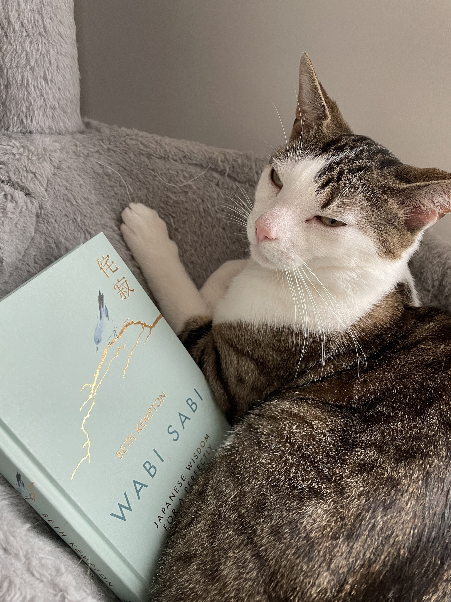 [2024-BOOK REVIEW] Wabi Sabi – Japanese Wisdom For A Perfectly Imperfect Life